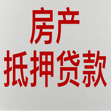 金口河贷款公司新渝启服推荐选择